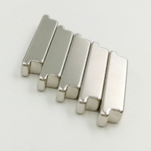 Heterotype Magnet