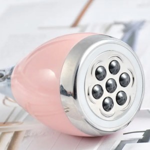 ELECTRIC FACE CLEANING BRUSH MAGNET