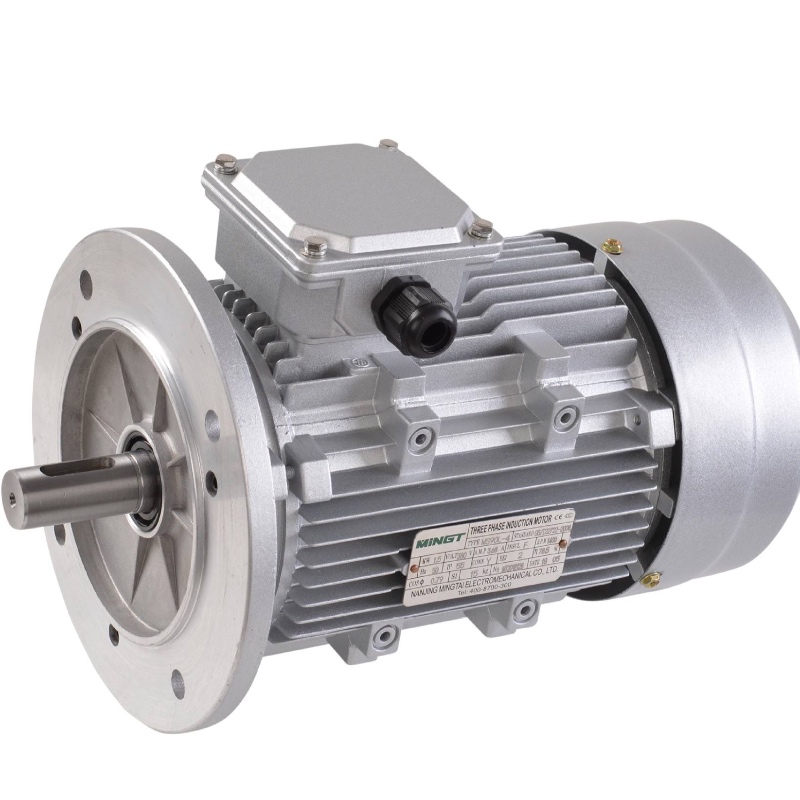 ELECTRIC MOTOR MAGNET
